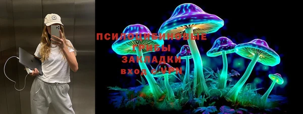винт Лагань