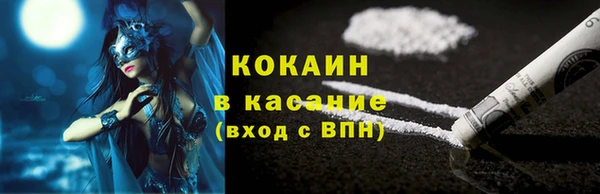 винт Лагань