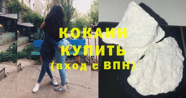 винт Лагань