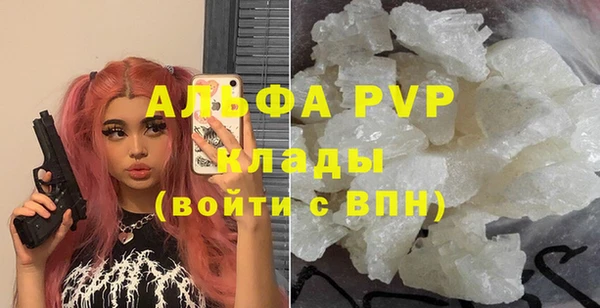 винт Лагань
