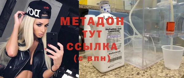 прущие грибы Переславль-Залесский