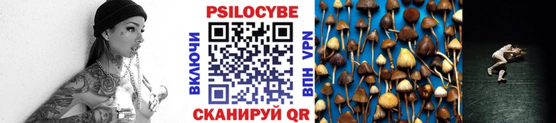 ссылка на мегу ссылка  Хадыженск  Галлюциногенные грибы MAGIC MUSHROOMS 